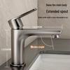 TLXT Stainless Steel Brushed Hot & Cold Basin Faucet