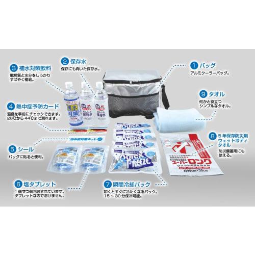 Brain BR-610 Heatstroke Prevention Kit DX