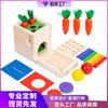 Montessori Four-In-One Coin Box Multi-Functional Stick Pull Radish Building Block Children'S Color Cognition Educational Toys