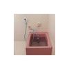 Takagi Jet Quick Shower B406IV Banho Conveniente para banheiros sem chuveiro