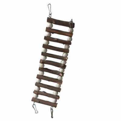 Kuş – Kuşlar için oyuncaklar