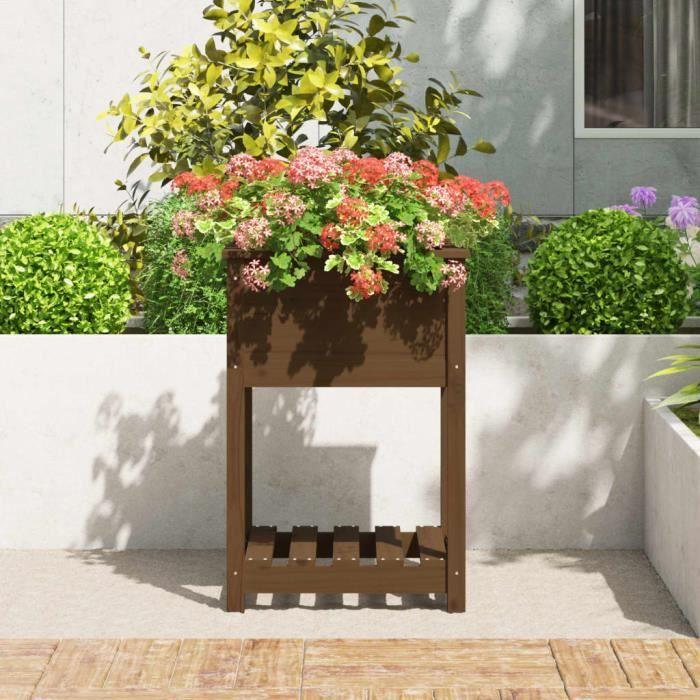 VidaXL Jardinière avec étagère Marron miel 54x54x81 cm Bois de pin 823776