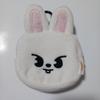 [USED] Leavitt Face Mini Pouch