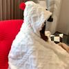 Cozy Plush Hooded Shawl Blanket Soft Warm Wrinkle-Free Nap Casual Shawl Blanket