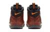 Nike Air Foamposite Pro Color Shift GS 644792-800