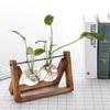 Home Decor Planter Terrarium Tabletop Wooden Frame Glass Vase Hydroponic Plant Vases Flower Pot