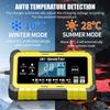 12/24V 15A High Current Smart Charger for Lead-Acid & Lithium-Iron Batteries