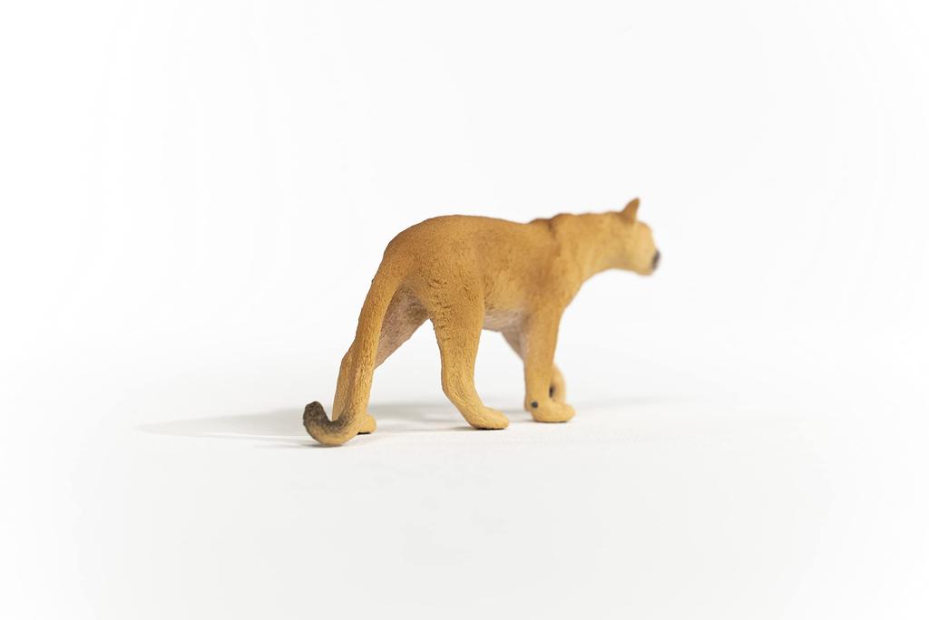 Schleich Wildlife Poema 14853