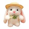 In A Rabbit Hat Plush Toy Cartoon Stuffed Animal Doll Decorations Gift Kids