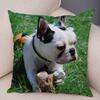 Cute Pet Mini French Bulldog Throw Pillow Cover With Short Plush Print Living Room Sofa Decoration Cushion Cover Pillow Covers