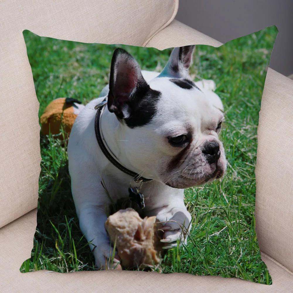 Cute Pet Mini French Bulldog Throw Pillow Cover With Short Plush Print Living Room Sofa Decoration Cushion Cover Pillow Covers