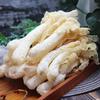 Bamboo Fungus Phallus Indusiatus Stinkhorn Mushroom Herbal Tea Loose Leaf Organic Chinese Green Food for Men Women