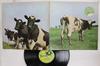 LP Record PINK FLOYD Atom Heart Mother SHVL781 HARVEST 1970 UK Rock Used