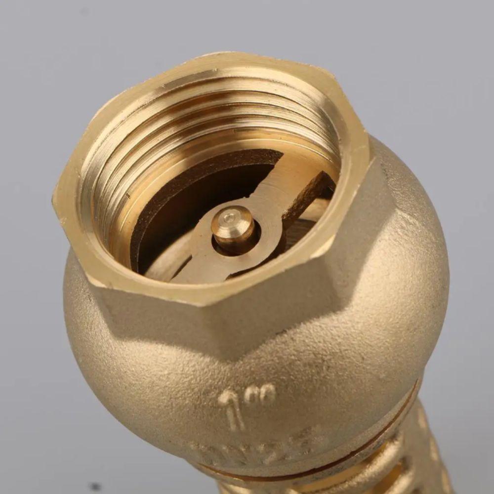 Anti Backflow Bottom Valve Female Thread Check Valve Brass Brass Foot Valve Direct Supply