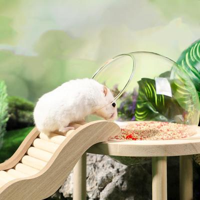 Wooden Hamster Climbing Toy, Ladder, Chewing Ladder Bridge Cage Decor for Gerbils,