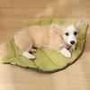 Comfortable Argyle Pet Mat - Soft Polyester, Washable, Non-Slip Sleeping Pad for Cats and Dogs, Chew Resistant, Ideal for Small Pets, Pet Bedding