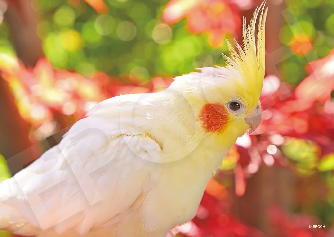 

Пазл EPOCH из 108 деталей To the Fascinating You x В комплект входят лопатка и билет для подсчета очков EPOCH Существа/питомцы (18.2 25.7см) 03-091 клей,