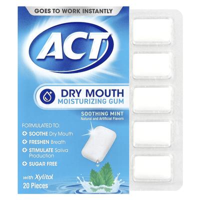 Xylitol Mouth Dry Moisturizing Gum, Sugar Free, Soothing Mint, 20 Count