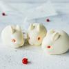 3D Easter Bunny Rabbit Silicone Mold Chocolate Fondant Mousse Cake Decorating Dessert Pudding Baking Candle Soap Craft Casting