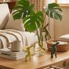 3PCS Decorative Rabbit Shaped Plant Stem Support Plastic Hydroponic Stabilizer  Sprouts