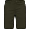 Шорты Odlo Ascent Light Shorts Зеленый