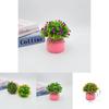 Starry Sky Artificial Flower Pot For Home Office Decor With Plastic Material And Wedding Use