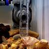 Transparent Aquarium Drain Pipe Cap Breathable Fish Tank Filter Strainer Cap  Aquarium Filtration