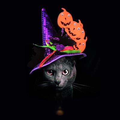 Sombrero de Calabaza de Halloween para Mascotas - Divertido Sombrero para Perros, Gatos y Geckos