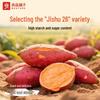 Bestore Steamed Sweet Potato Strips