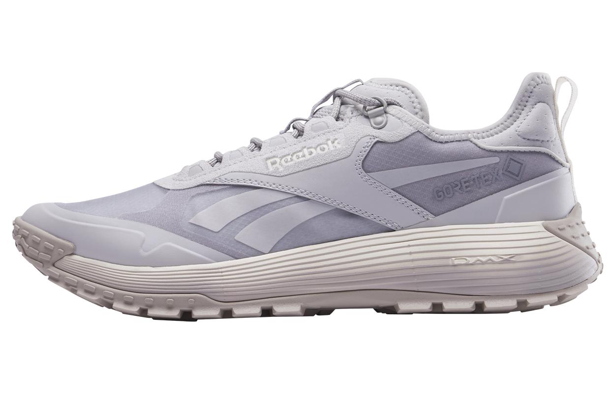 Reebok Dmx Trail GORE-TEX Grey Stone Chalk 100200884 43