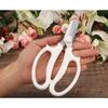 Stainless Steel Garden Scissors Floral Shears Professional Flower Scissor Comfortable Grip Handle Pruning Shear New