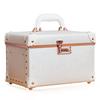 Urecity Portable Makeup Train Cosmetic Organizer Leather Storage Box with Combination Lock Case, Case,