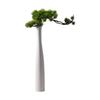 Bud Vase Flowerpot Decors Planter Tall Ceramic Flower Vase Slender Vase Floor Vase for Home Side Table Fireplace Desktop Display