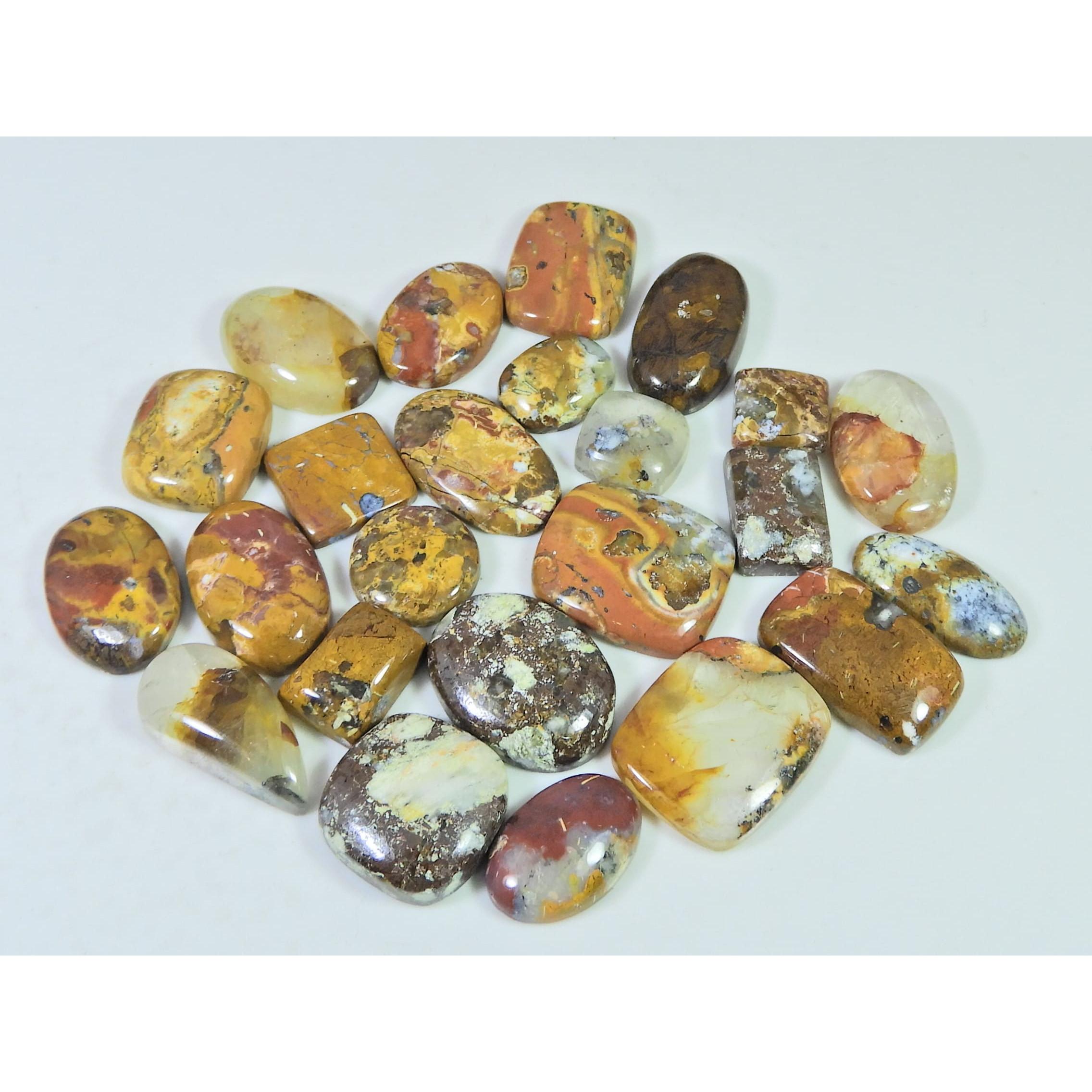 280Cts. Natural Forest Agate Mix Cabochon Loose Gemstone 24 Pcs Lot C-1966