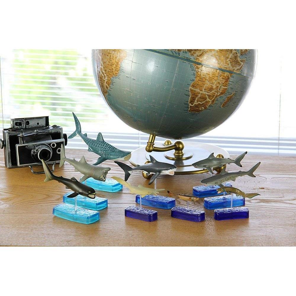 COLORATA Shark Species 3D Encyclopedia Figure Set 9 Types with Explanation Book Stand Realistic Box Toy Educational Gift Food Sanitation Law Christmas