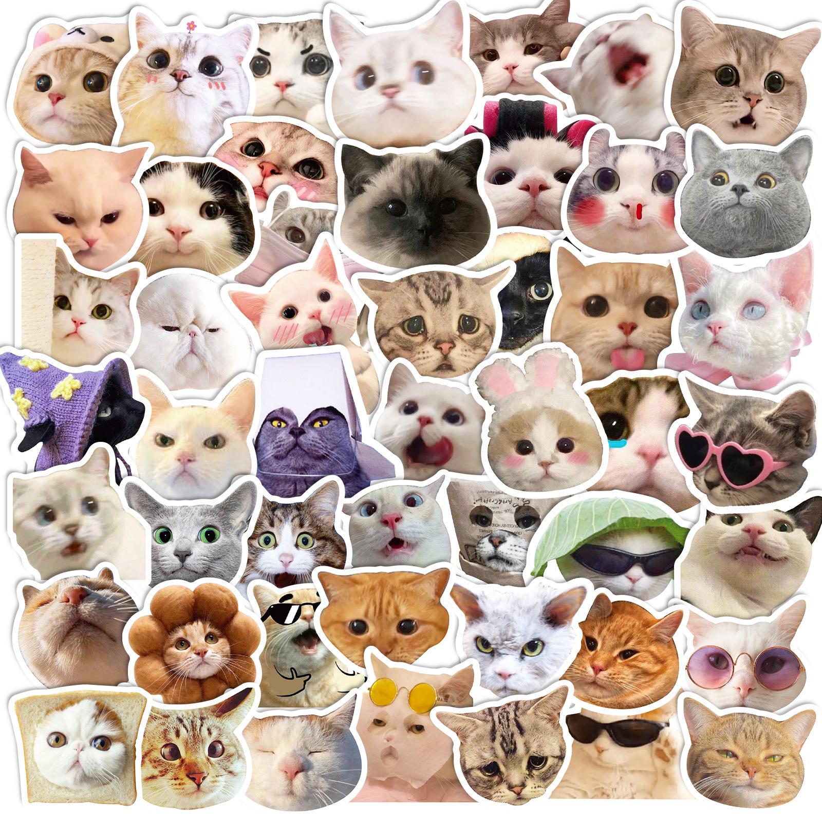 

50 Cat Emoji Stickers Pack: Cute, Funny & Hilarious Graffiti-Style Cat Heads