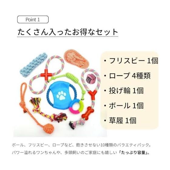 Set of 10 Dog Toys, Sturdy, Small Dogs, Medium Dogs, Large Dogs, Dog Toys, Rope, Ball, Frisbee, Toothpaste, Educational Toys, Chewing Pet Toys, Cat