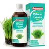Baidyanath Wheatgrass Juice - 1L | Natural Liver detox & Gut cleanser Juice | Superfood for Weight & Cholesterol management