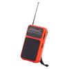 Compactly FM AM Radio With Pointers Designs Supports Type C Charging And Batteries for Outdoor Activity Use