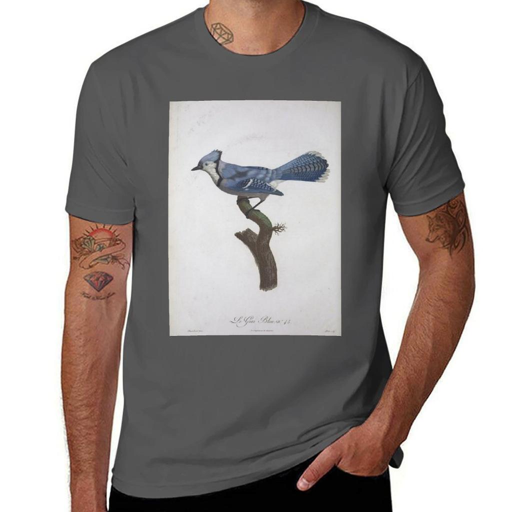 Natural history of birds of paradise T-Shirt Plus Size Quick Dry Sports Tee