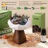 Wilderness Secret Scented Stone Diffuser Gift Set - Indoor Flameless Aroma Ornament for Holidays and Parties