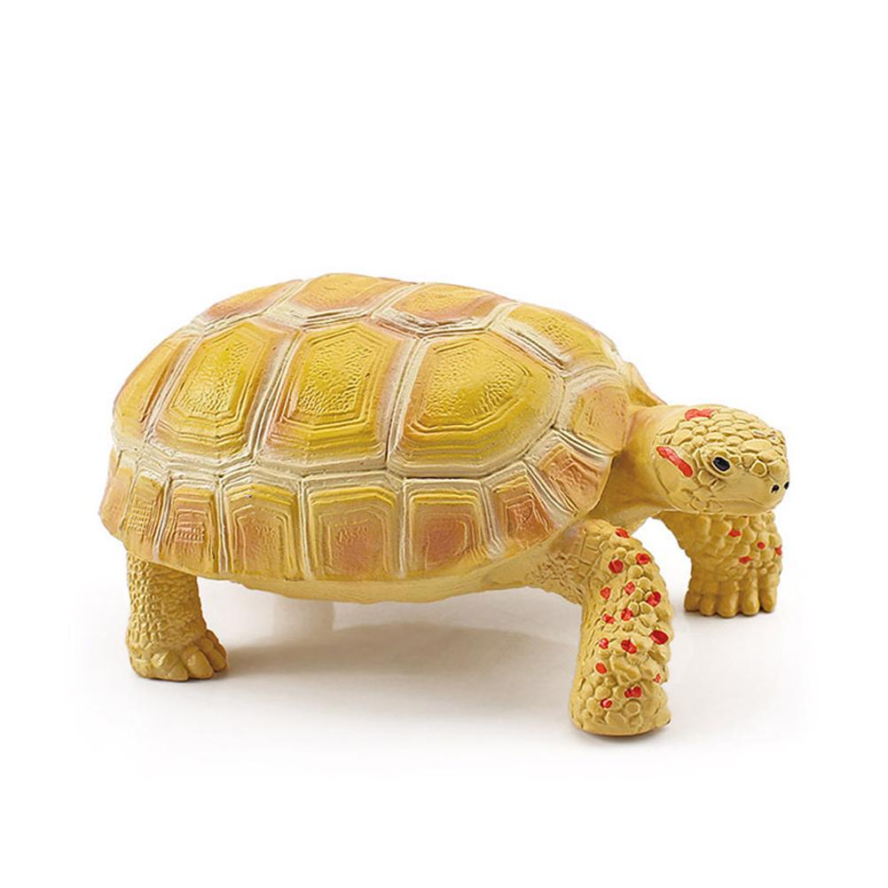 Realistic Turtle Action Figure Lifelike Amphibian Reptile Model Ornaments For Children Gifts Home Decoration