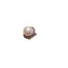 Ao Fritillary Pearl Women's Ring Fashion Creative Jewelry Adjustable Ring Hand Fashion