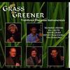 CD RICHARD GREENE - The Grass Is Greener REB1714 Rebel Records 1995 Japan Country/Folk Used