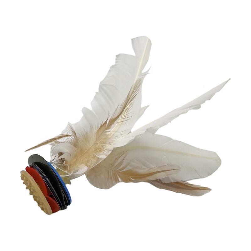 Wenfan Feather Sports Shuttlecock