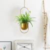 Ceiling Planter Hydroponic Plant Pot Hangable Metal Chlorophytum Succulent Planter Decorative Ornament For Home Balcony