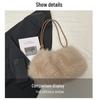 Autumn/Winter Plush Underarm Crossbody Bag: Stylish, Unique Shoulder Bag with Niche Texture
