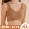New Women's Seamless Gathering, Lifting Support, Anti-sagging Breast Bra, Semi-fixed Cup, Autumn and Winter Bra Cover