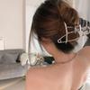 Ins Trendy Silver Metal Pin Grab Clip Women Fashionable Geometric Shark Clip Headband