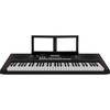 Roland E-X10 Electronic Arranger Keyboard, Easy Operation, 61 Keys, Auto Accompaniment, Microphone Input, Recording Function, Battery Operation, Perfe